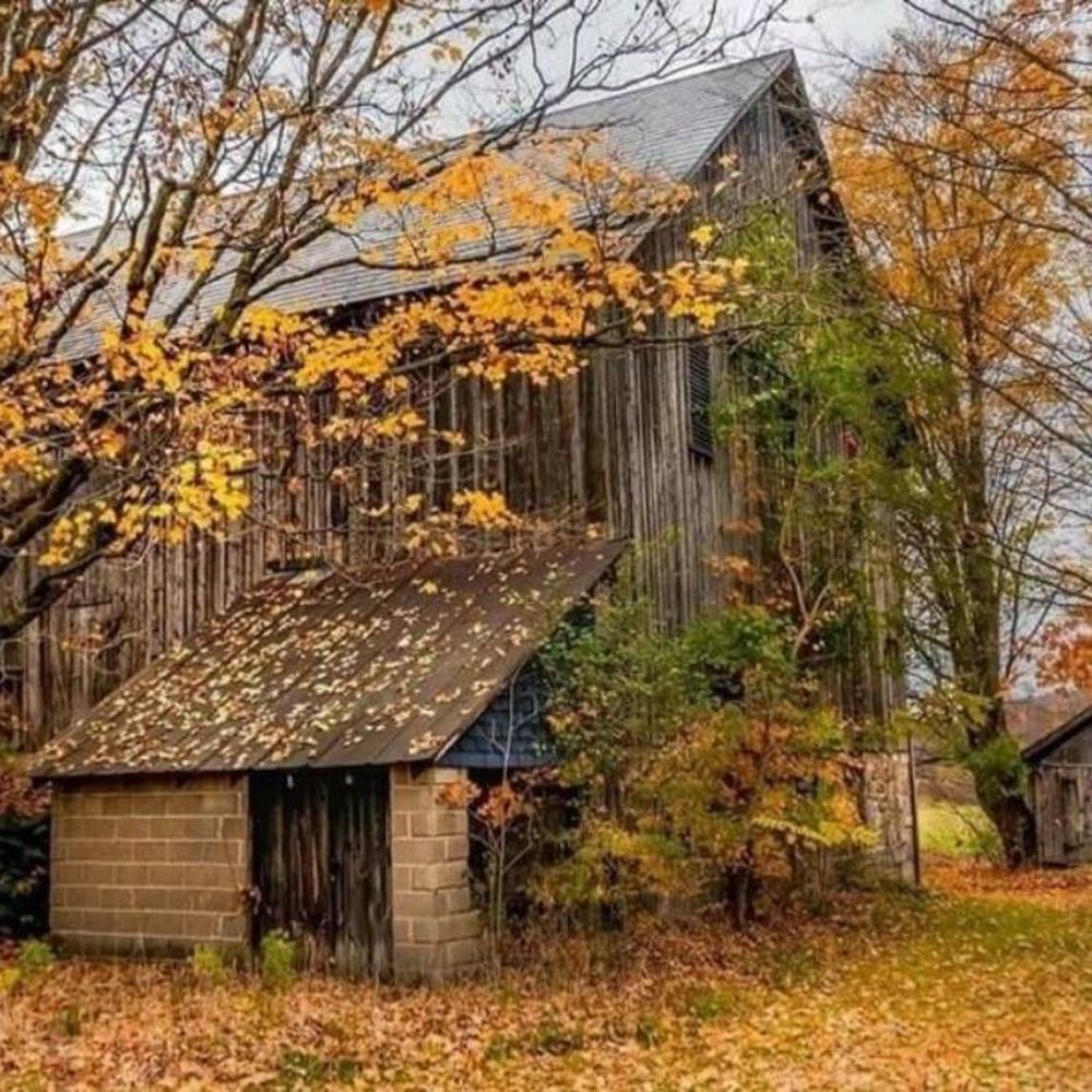 Meet your Posher, Leyla